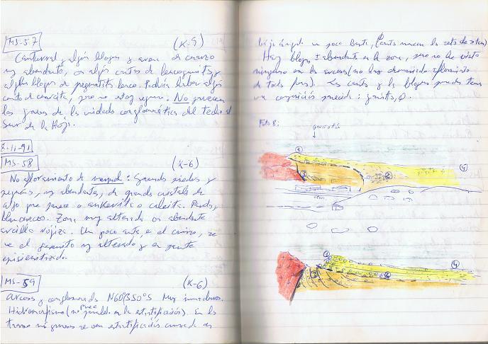 Open lined notebook with handwritten geological notes and two colored field sketches.